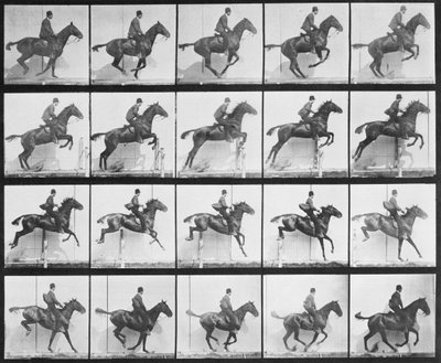 Man and horse jumping a fence, plate 640 from 